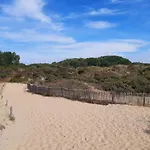 Lilafee La Panne