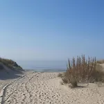 Maison d'hôtes Lilafee La Panne