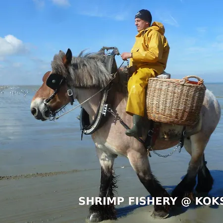 Lilafee Maison d'hôtes