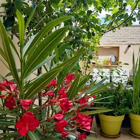 Lilafee Maison d'hôtes 4*