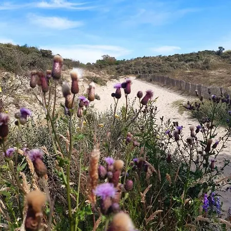 Penzion Lilafee De Panne
