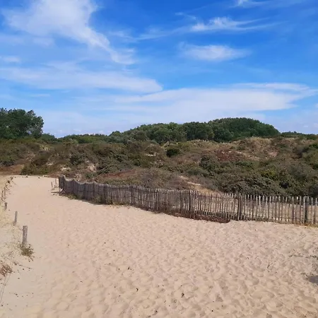 Lilafee De Panne