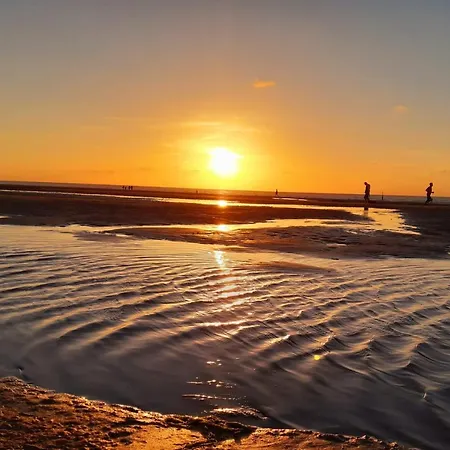 Lilafee Maison d'hôtes La Panne