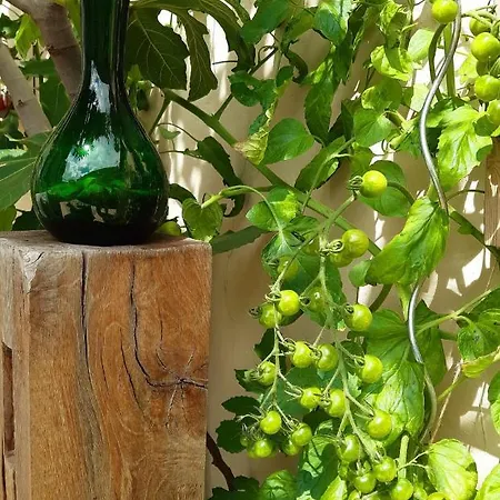 Maison d'hôtes Lilafee La Panne