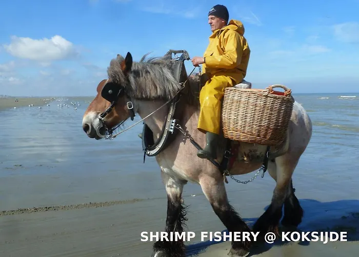 Lilafee Affittacamere