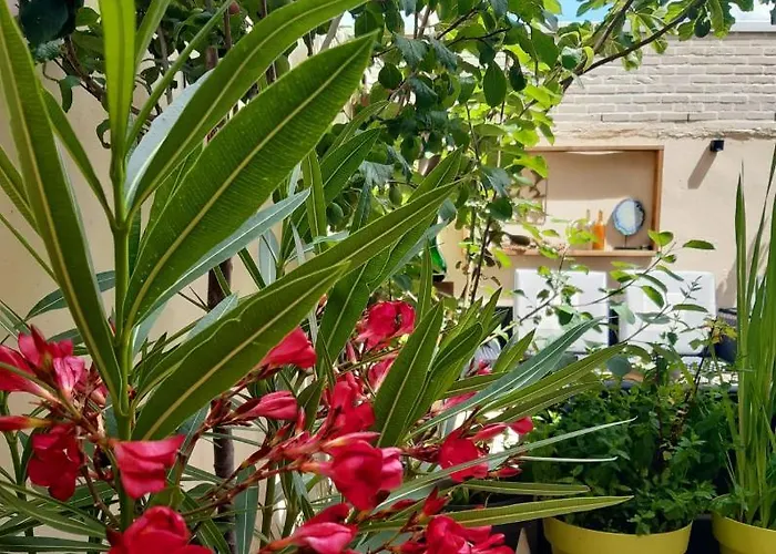 Lilafee Vendégház 4*