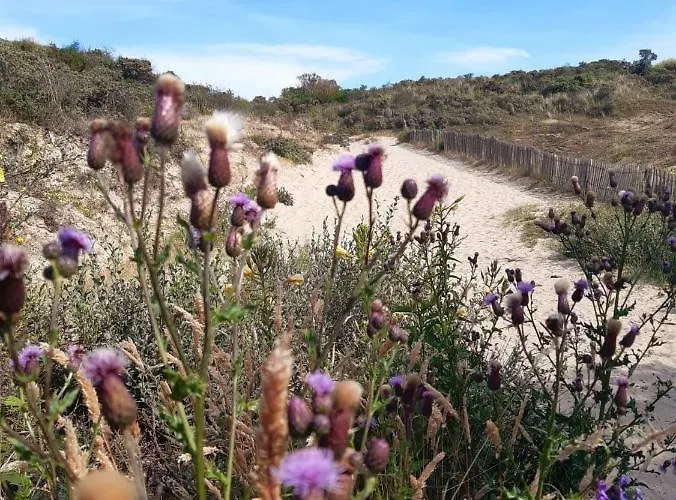 Affittacamere Lilafee De Panne