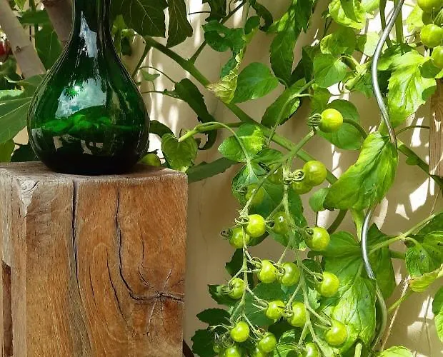 Affittacamere Lilafee De Panne